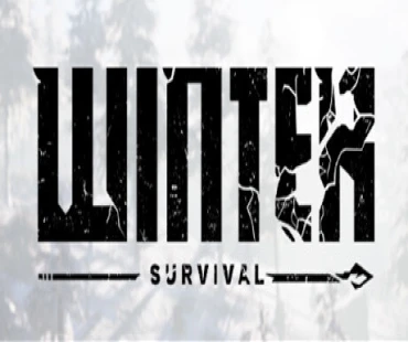 Winter Survival PC DOSTĘP DO KONTA STEAM OFFLINE KONTO WSPÓŁDZIELONE
